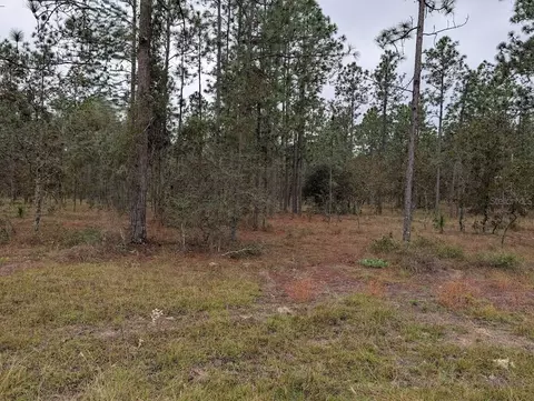 lot13 NW Geranium Ave, Dunnellon, FL 34431