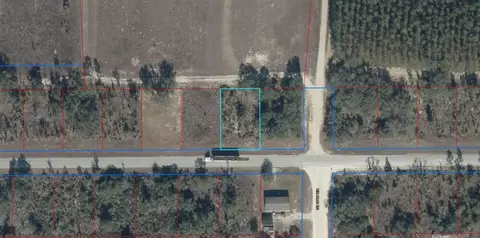 tbd NE 69th Ln, Williston, FL 32696 photo 4