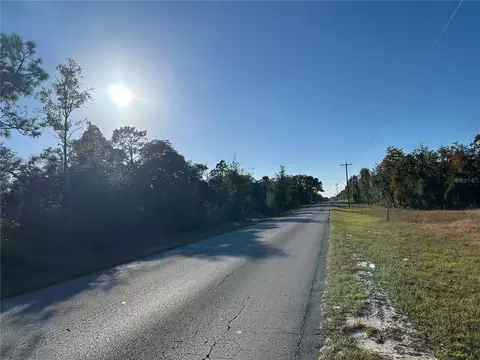 tbd NE 69th Ln, Williston, FL 32696 photo 3