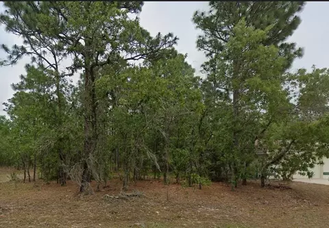 1485 W Lamplighter St, Citrus Springs, FL 34434