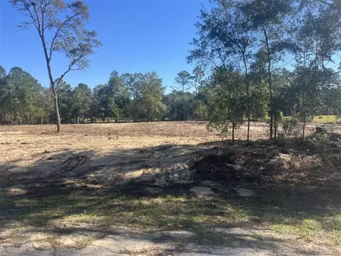 tbd SW 136 Ave, Ocala, FL 34481