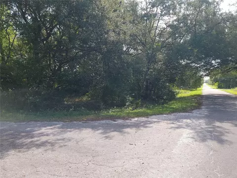 lot20 SE Fisher Lane Pass, Ocklawaha, FL 32179