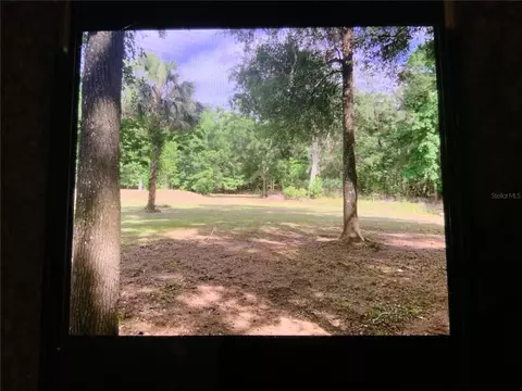13080 NW 168th Pl, Reddick, FL 32686 photo 5