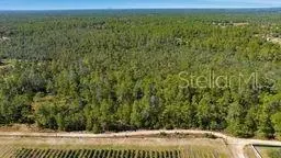 9478 N Timber Creek Ter, Dunnellon, FL 34433