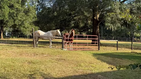 41030 Oak Grove Rd, Weirsdale, FL 32195