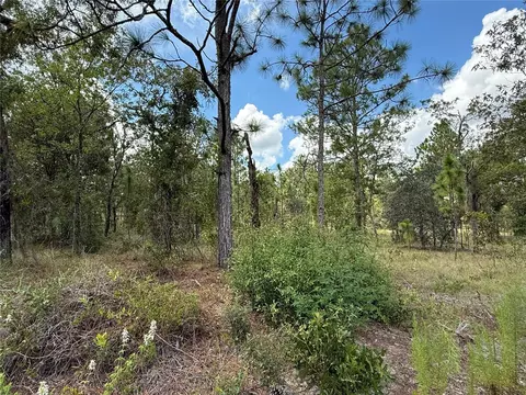 Deer Park Heights Sw, Dunnellon, FL 34431