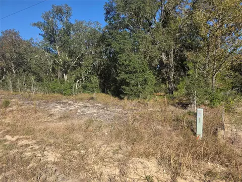 lot31 SW Viburnum Rd, Dunnellon, FL 34431