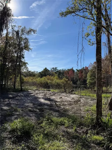 7 Th Pl, Ocala, FL 34482