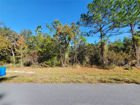 tbd SW 132nd Pl, Ocala, FL 34473