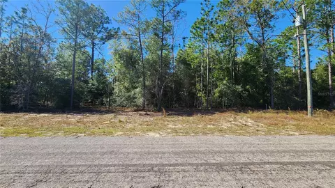 9955 N Sherman Dr, Citrus Springs, FL 34434