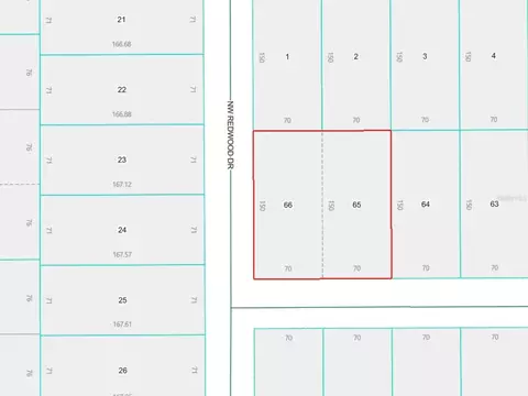 lot S 65 66 Nw Banyan Ln, Dunnellon, FL 34431