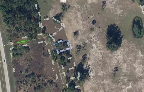 132 Collinwood Dr, Lake Placid, FL 33852
