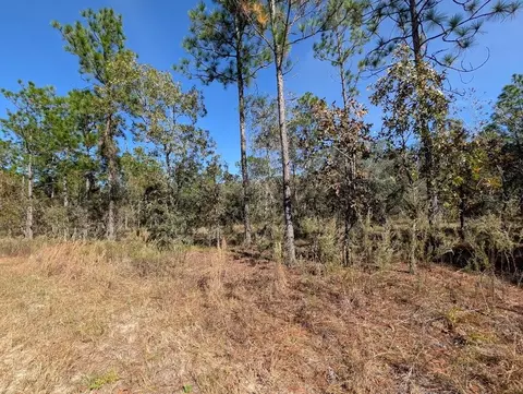 SE 135th Court, Dunnellon, FL 34431