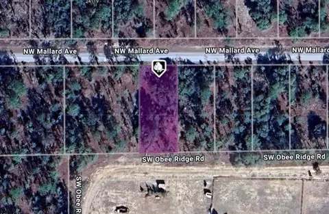 lot27 NW Mallard Ave, Dunnellon, FL 34431