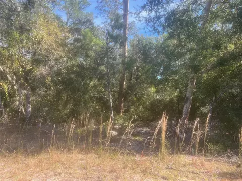 Bay Road, Ocklawaha, FL 32179