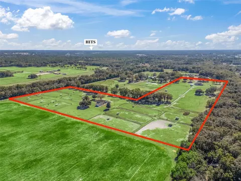 View/Area - 19351 E Levy St, Williston, FL 32696 photo 6 of 9
