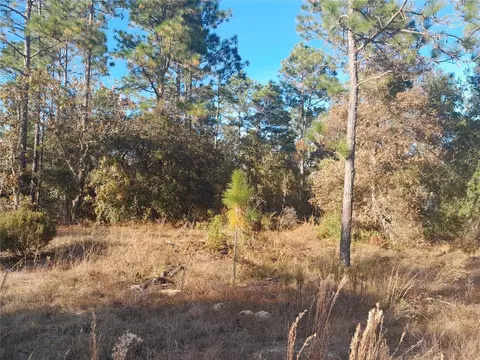 NE 10th Street, Williston, FL 32696