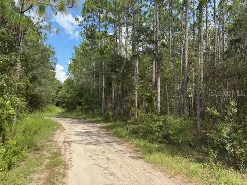 0000 SW 39th St, Dunnellon, FL 34432