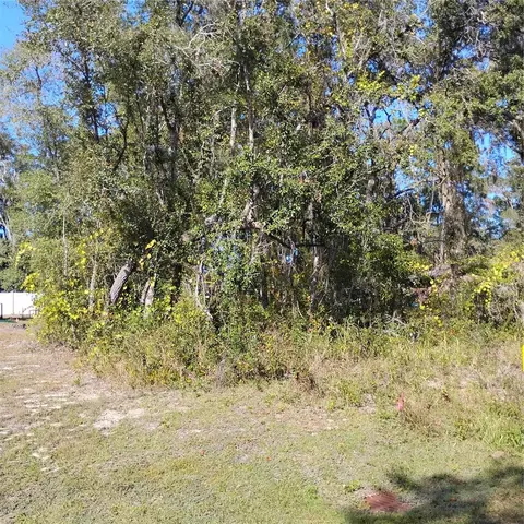 tbd SE 61st Pl, Ocklawaha, FL 32179