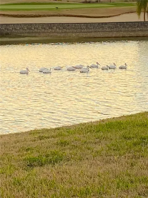 View/Area - 9479 SW 71st Loop, Ocala, FL 34481 photo 4 of 24