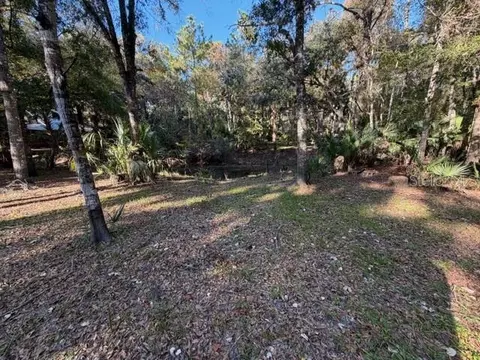 6455 E Sioux Canal Dr, Hernando, FL 34442 photo 7