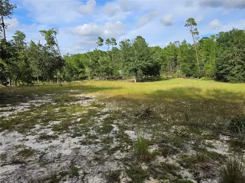 238 Cemetery Rd, Fort Mc Coy, FL 32134