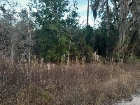 1531 NE 123rd Ave, Williston, FL 32696 photo 2