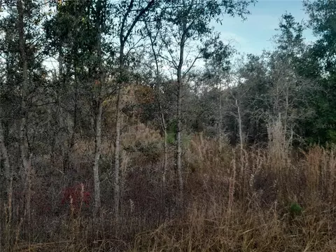 1531 NE 123rd Ave, Williston, FL 32696 photo 3