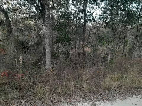 1531 NE 123rd Ave, Williston, FL 32696 photo 4