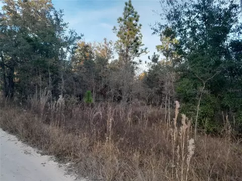 1531 NE 123rd Ave, Williston, FL 32696