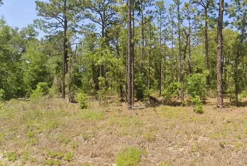 tbd NW Hemlock Ave, Dunnellon, FL 34431