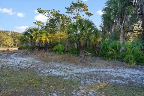 tbd E Cason Blvd, Inglis, FL 34449 photo 3