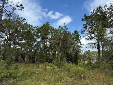 7341 SE 117th, Morriston, FL 32668