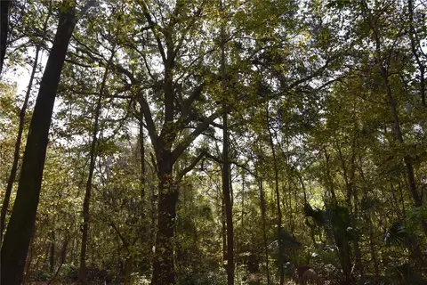 1220 SE Us Highway 301, Hawthorne, FL 32640