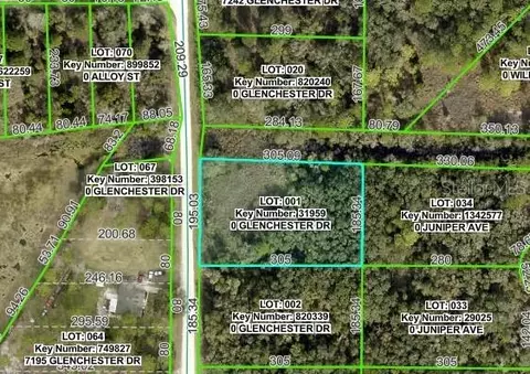 7222 Glenchester Dr, Webster, FL 33597 photo 2