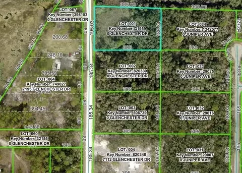 7222 Glenchester Dr, Webster, FL 33597 photo 3