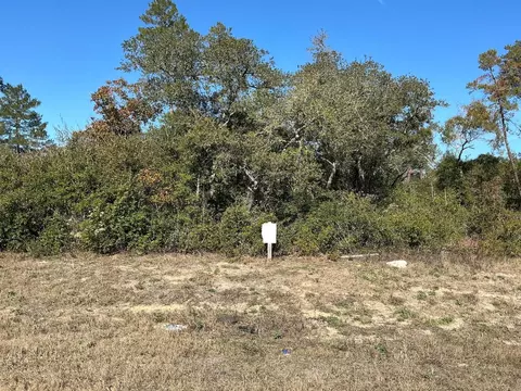 0 SW 165th Loop, Ocala, FL 34473