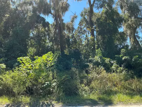 0 SE 134th Pl, Belleview, FL 34420