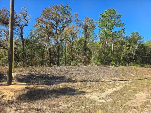 11136 N Vesta Pt, Dunnellon, FL 34434