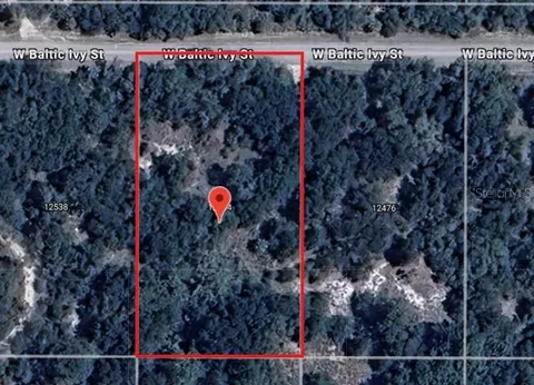 12504 W Baltic Ivy St, Crystal River, FL 34428