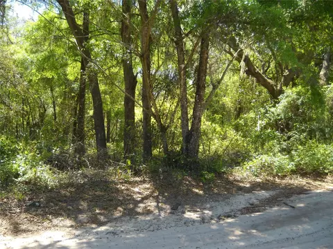 00 NE 161 St, Citra, FL 32113