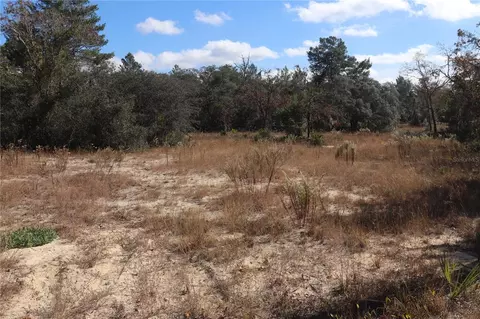 9097 N Peewee Pt, Dunnellon, FL 34433