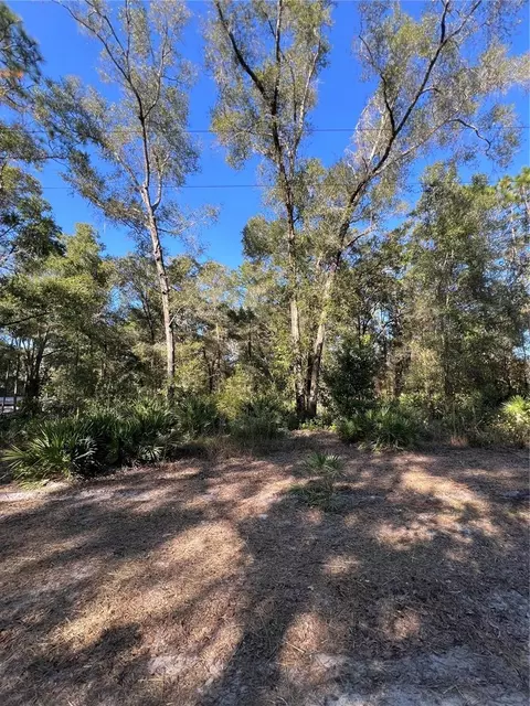 tbd SE 179th Pl, Summerfield, FL 34491