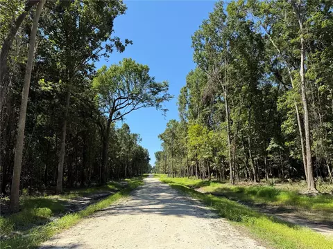 Dr #7 NW 193rd St, Micanopy, FL 32667