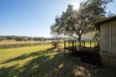 Other - 11715 NW 90th Ave, Reddick, FL 32686 photo 18 of 18