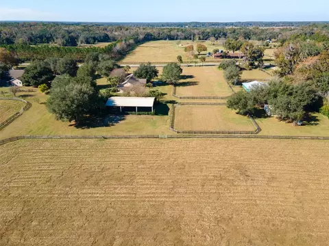 View/Area - 11715 NW 90th Ave, Reddick, FL 32686 photo 6 of 10