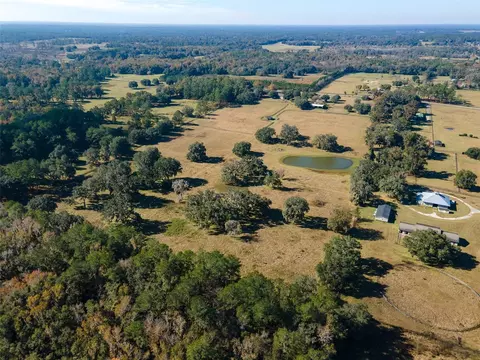 View/Area - 11715 NW 90th Ave, Reddick, FL 32686 photo 5 of 10