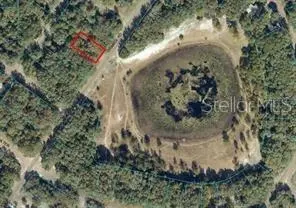 Orange Rd, Ocklawaha, FL 32179
