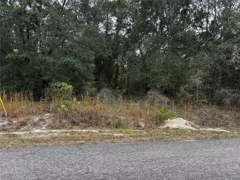 SE 115th Place Road, Ocklawaha, FL 32179
