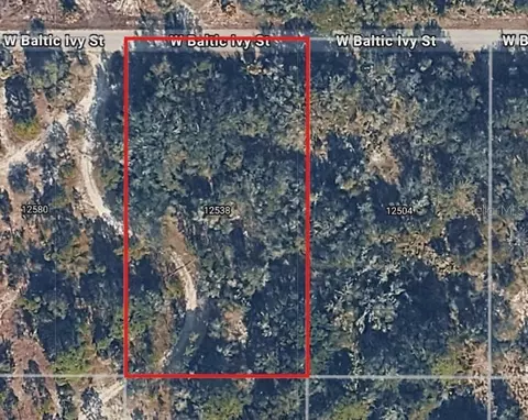 12538 W Baltic Ivy St, Crystal River, FL 34428